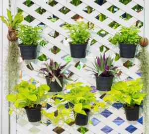 hanging pots